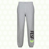 FES SPG 001
